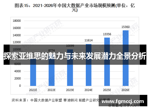 探索亚维思的魅力与未来发展潜力全景分析